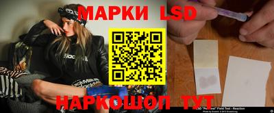 дмт Донской