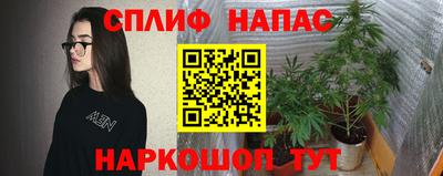 дмт Донской