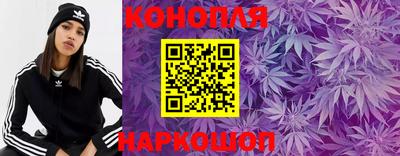 Альфа ПВП Дубна