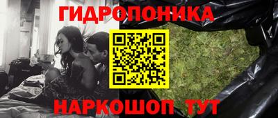 Альфа ПВП Дубна