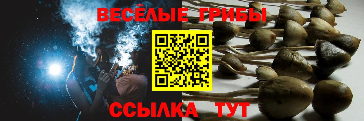 Галлюциногенные грибы GOLDEN TEACHER  Вход с VPN  Новочеркасск 